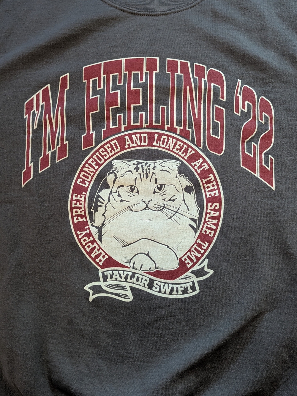 $100 Taylor Swift Size L - I'm Feeling '22 Meredith Grey Cat Sweatshirt EUC